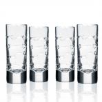 School of Fish Double Old Fashion Whiskey Glasses by Rolf Glass